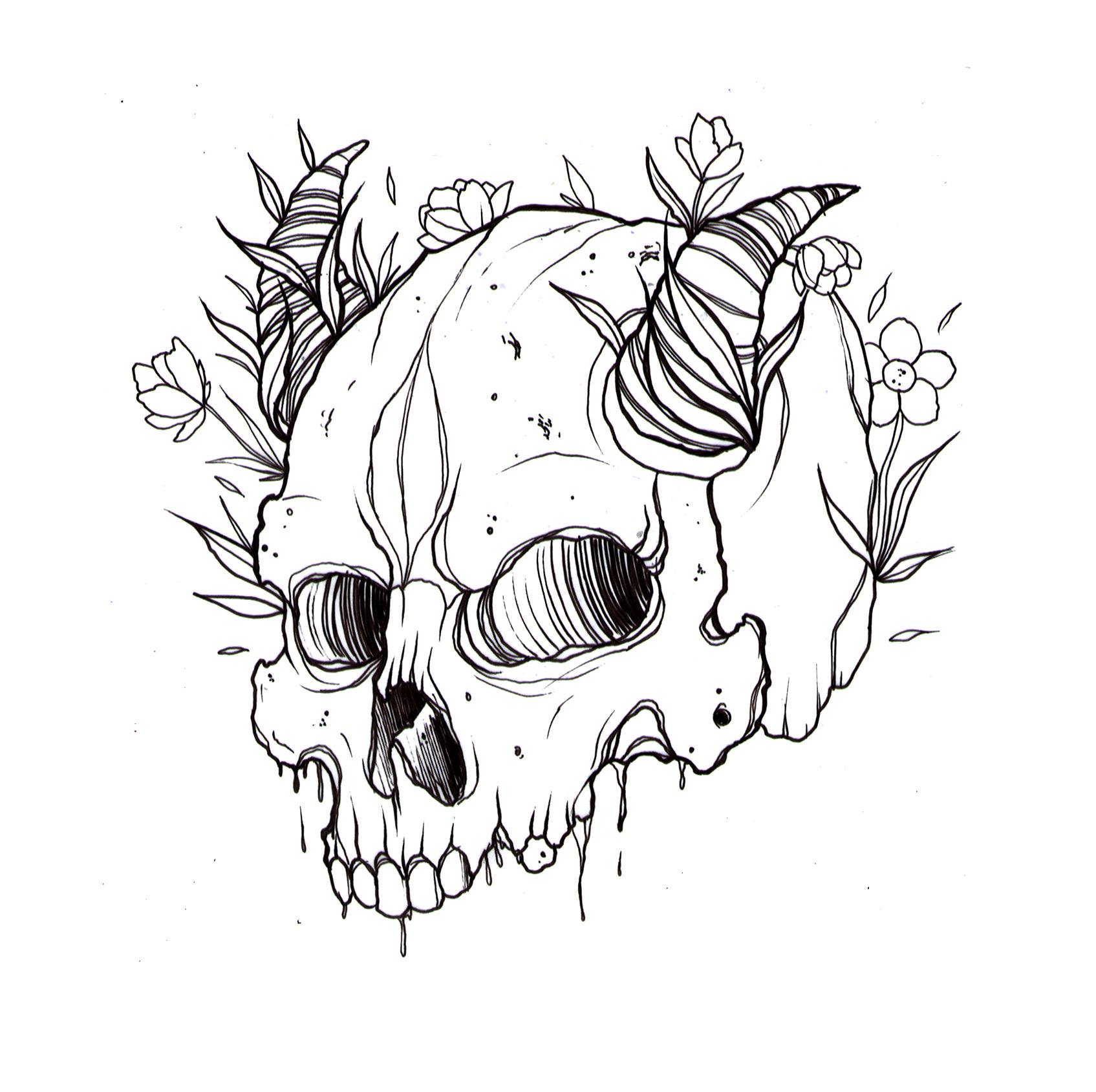 Skull